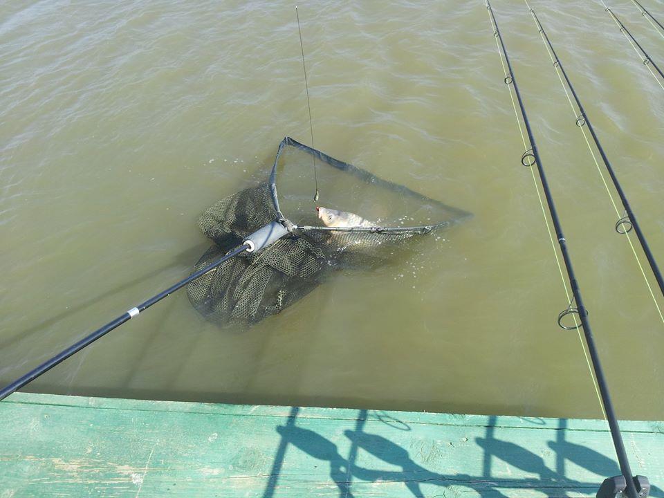 Moara Vlasiei 2 15 - 15 mar. - 10578366547191612425551843445235n.jpg